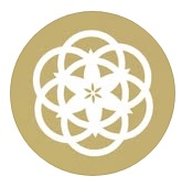 NOVIDADE - DERMAESTETICA